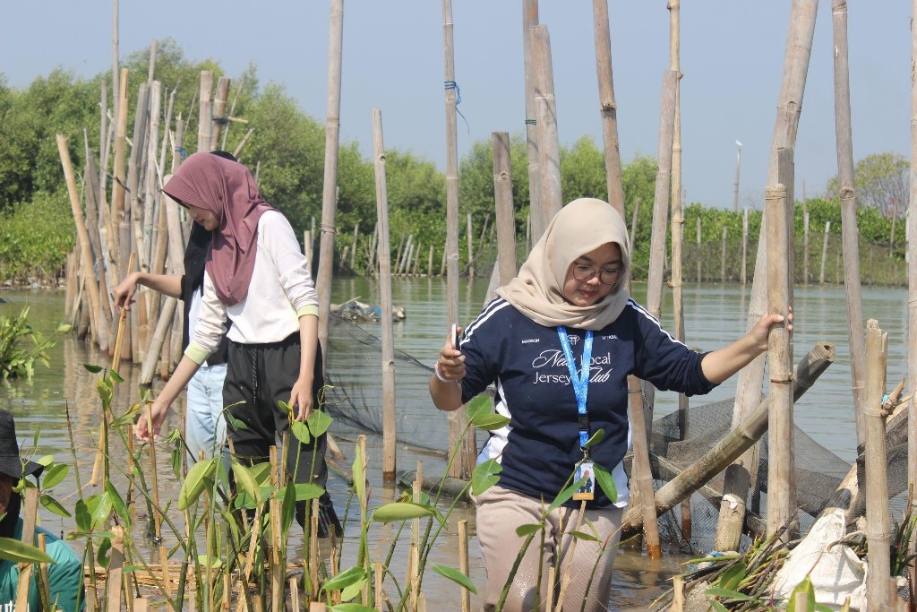 Mahasiswa KKN UNDIP Dorong Konservasi Mangrove dan Pengembangan Wisata Pesisir Tambak Lorok